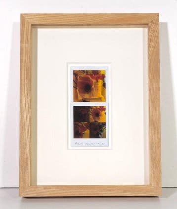 Maurizio Galimberti (1956–) - BiFlowers - 11618, Antiquités & Art, Art | Peinture | Moderne