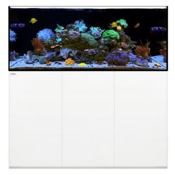 WaterBox REEF 180.5 Wit, Verzenden, Nieuw