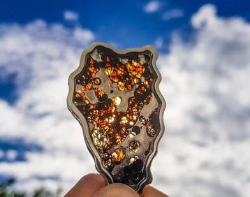 Pallasiet Pendant Sericho Pallasite - Hoogte: 7 cm -
