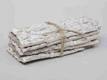 Schors Kastanje Chestnut Bark White 30x13x10 cm pak, Nieuw