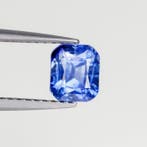 1 pcs Blauw Saffier - 1.58 ct - Asian Institute of