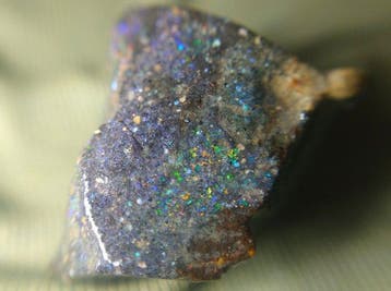 24,4 ct - Topkleuren - Honduras Black Opal Ruw- 4.88 g