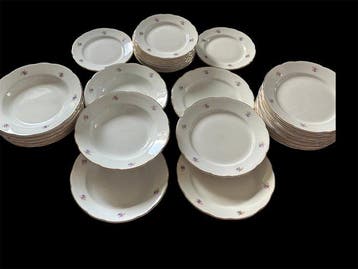S.C.Richard - Tafelservies (37) - Sterk aardewerk -