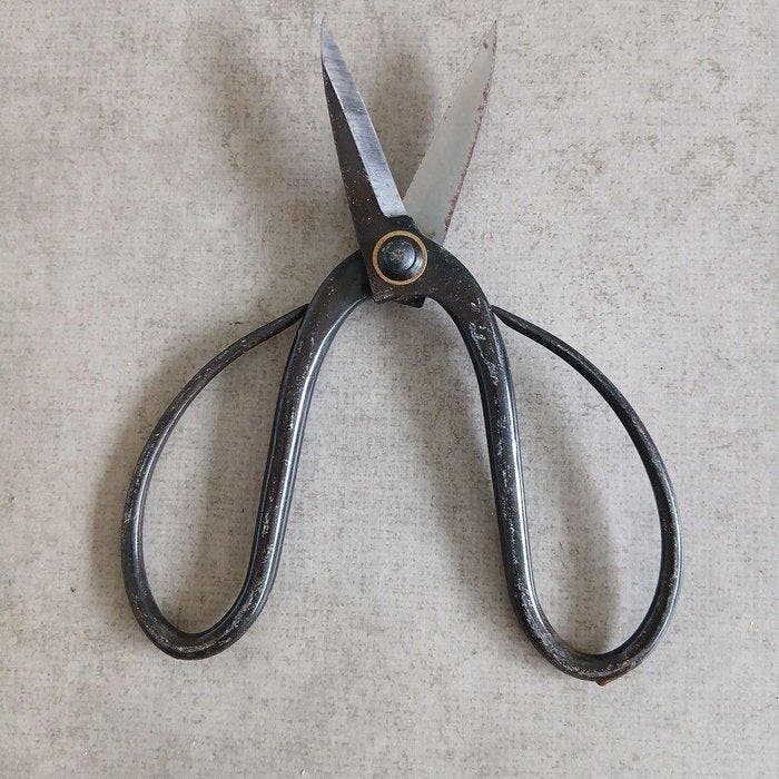 Echigo Blacksmith Pruning Shears Set — 6 Traditional, Antiek en Kunst, Antiek | Wandborden en Tegels