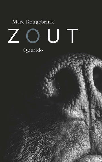 Zout (Nieuw), Verzenden, Nieuw