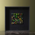 Kevers in Lijst Taxidermie Opgezette Dieren By Max, Ophalen of Verzenden, Nieuw, Insect, Opgezet dier
