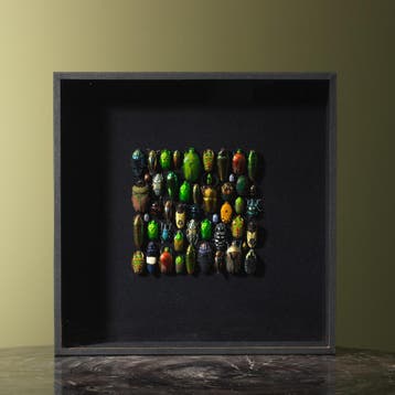 Kevers in Lijst Taxidermie Opgezette Dieren By Max, Verzamelen, Ophalen of Verzenden, Nieuw, Insect, Opgezet dier