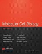 Molecular Cell Biology 7th 9781464109812 Angelika Amon, Verzenden, Angelika Amon
