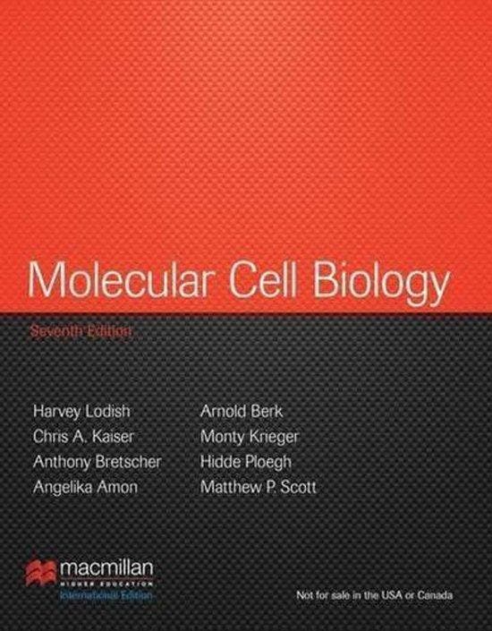 Molecular Cell Biology 7th 9781464109812 Angelika Amon, Boeken, Taal | Engels, Gelezen, Verzenden
