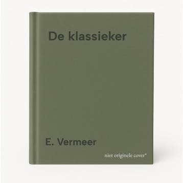De klassieker 9789074804042 E. Vermeer, Verzenden, Zo goed als nieuw, E. Vermeer