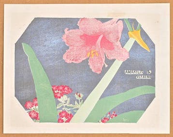 Fifty Flower Themes - Amarylis  - 1930 - Limited