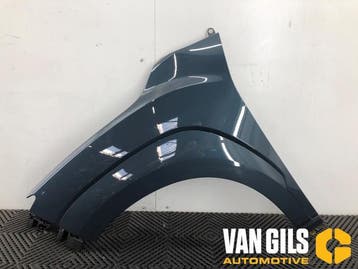 Scherm links-voor Hyundai Kona O277781