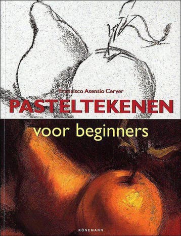 Pasteltekenen Voor Beginners 9783833117336, Verzenden, Gelezen, Francisco Asensio Cerver