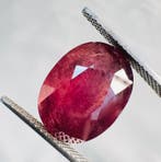 Robijn - 13.71 ct - Lotus Gemology - 100% Natuurlijk -