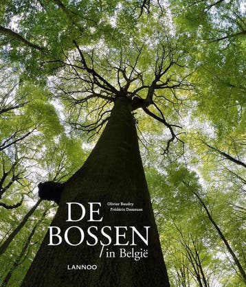 Bossen in België 9782873869151 Olivier Baudry, Verzenden, Olivier Baudry