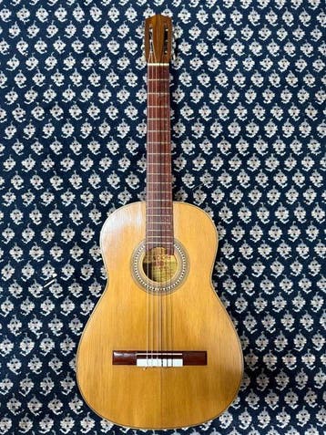 Rodolfo Prados - Classical (Solid-Top) - - Guitare, Nieuw