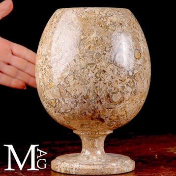 fossiel sediment, Grote ornamentale beker uit fossiel marmer, Verzamelen