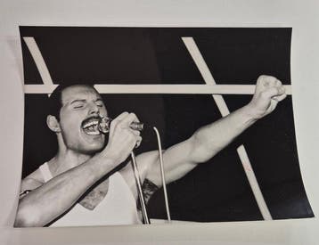 Unidentified / WPP - Iconic portrait of Freddie Mercury, the