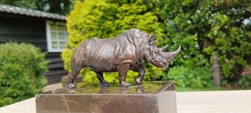 Sculpture, Kracht ontmoet elegantie - brons - neushoorn -