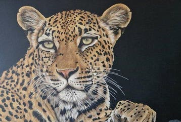 Donatella Ramazzotti - Leopardo