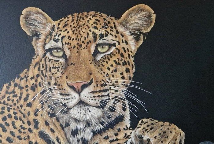 Donatella Ramazzotti - Leopardo, Antiquités & Art, Art | Peinture | Moderne