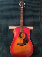 Ibanez - H300CS - - Akoestische gitaar - Japan - 1980, Muziek en Instrumenten, Snaarinstrumenten | Gitaren | Akoestisch, Nieuw