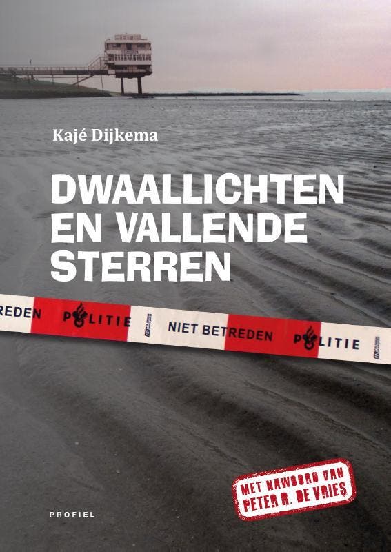 Dwaallichten en vallende sterren 9789052945712 Kajé Dijkema, Boeken, Thrillers, Gelezen, Verzenden