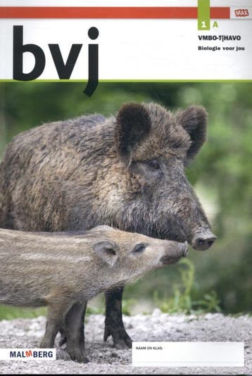 bvj MAX / 1 vmbo-t/havo Deel A 9789402068450, Boeken, Verzenden, Zo goed als nieuw