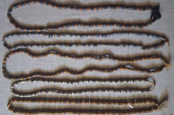 Ashanti-kralen - Achantis - Ghana (Zonder minimumprijs), Antiek en Kunst