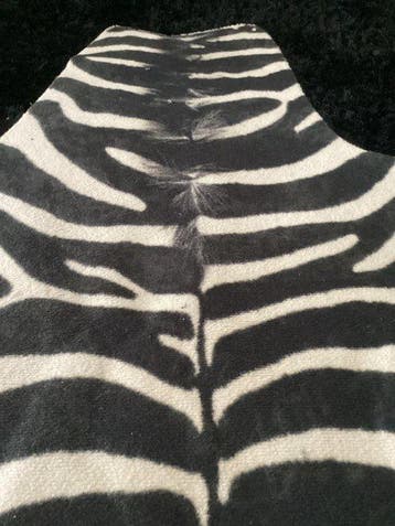 Vloerkleed - 180 cm - 120 cm - Zebra imitatie, Antiek en Kunst