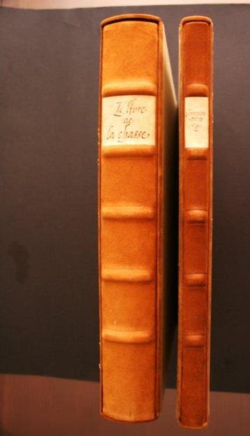 Gaston Phoebus - GASTON PHOEBUS LE LIVRE DE LA CHASSE