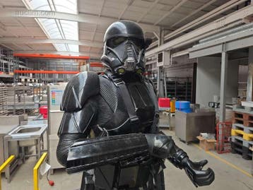 Levensgroot decoratief beeld Star Wars: Rogue One..., Ophalen