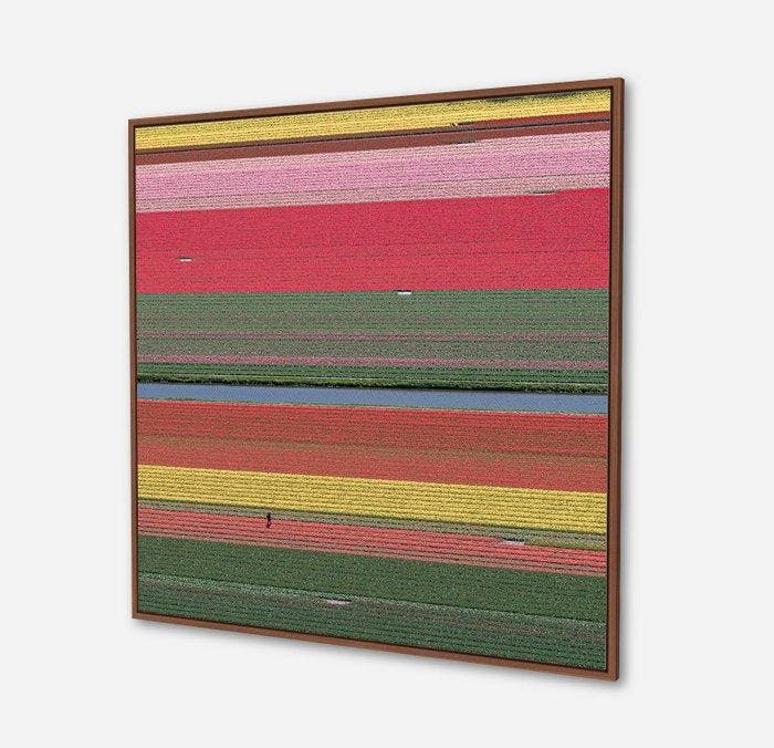 Bernhard Lang - AV_Tulip_Fields_036, Antiquités & Art, Art | Objets design