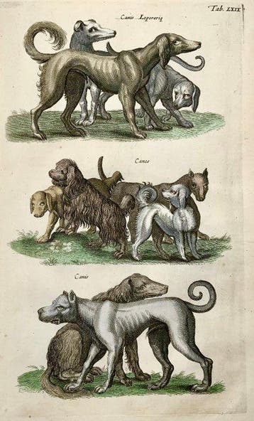 Matthäus Merian (1593-1650) - hand coloured folio:, Antiek en Kunst