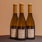 2019 Jules Desjourneys - Mâcon-Verzé - 3 Bouteilles (0,75 L), Nieuw