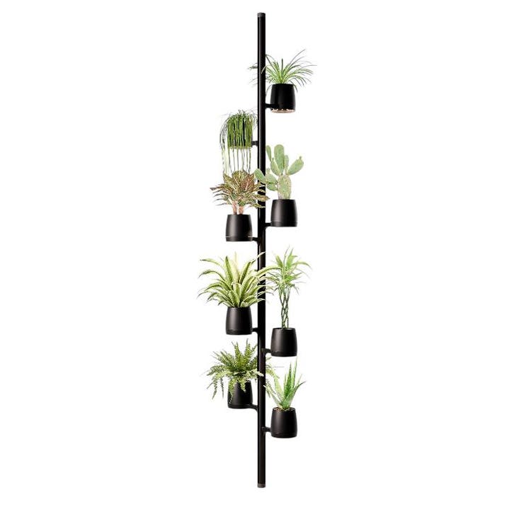 Mother Forest - 8 PlantPods, Jardin & Terrasse, Produits de culture, Envoi