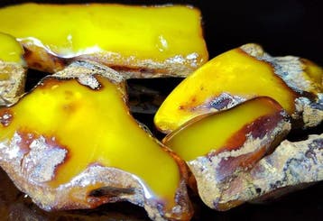 Baltisch amber – Hoge kwaliteit AAA, gratis verzending- 61 g