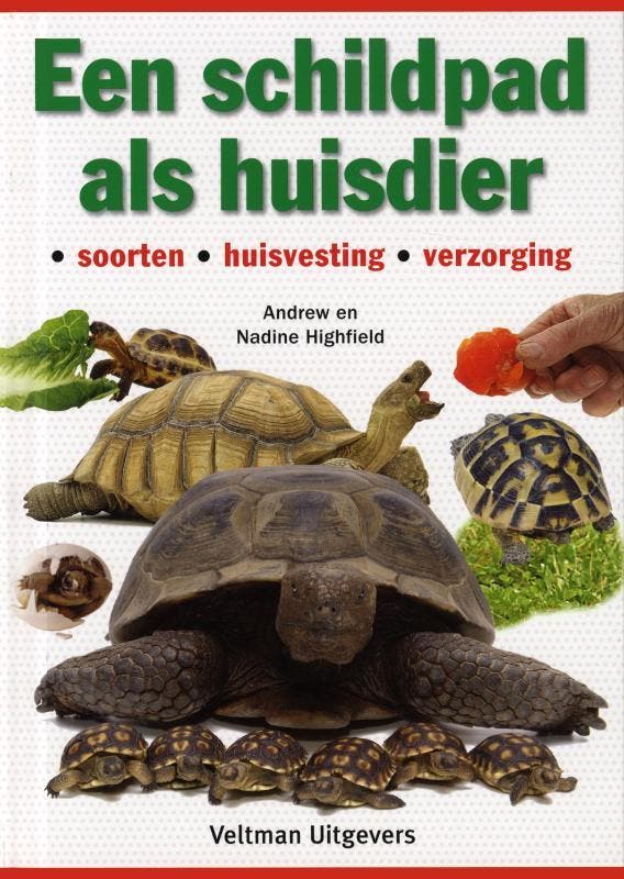 Een schildpad als huisdier 9789048302543 Andrew C. Highfield, Boeken, Hobby en Vrije tijd, Gelezen, Verzenden