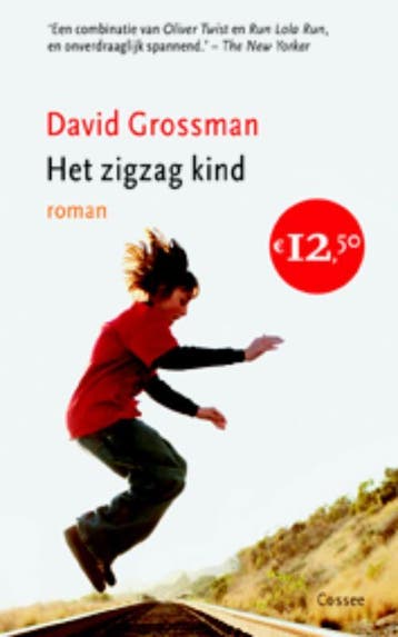 Het Zigzagkind | David Grossman & Shulamith Bamberger, Boeken, Verzenden, Zo goed als nieuw, David Grossman & Shulamith Bamberger