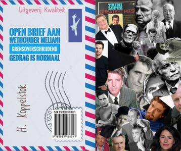 Grensoverschrijdend gedrag is normaal 9789083438047, Verzenden, Zo goed als nieuw, H. Koppelstok