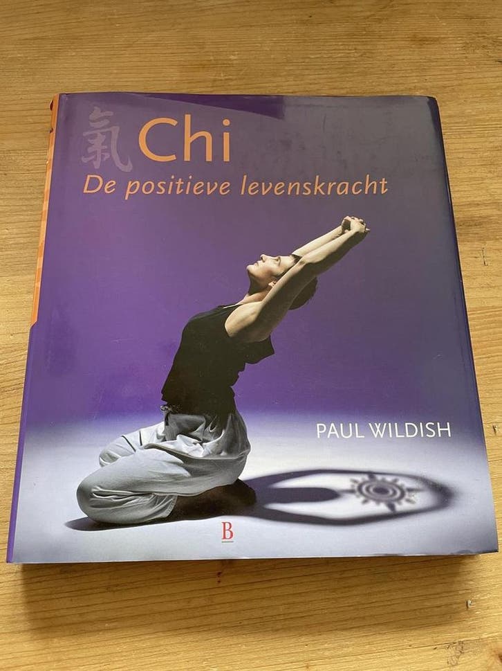 CHI 9789024606078 P. Wildish, Livres, Ésotérisme & Spiritualité, Envoi