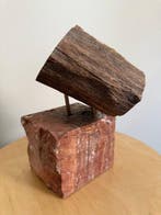 Bois pétrifié - Bois fossilisé - 25 cm - 18 cm (Sans prix de