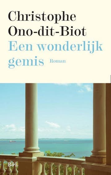 Een wonderlijk gemis 9789463930161 Christophe Ono-Dit-Biot, Verzenden, Christophe Ono-Dit-Biot