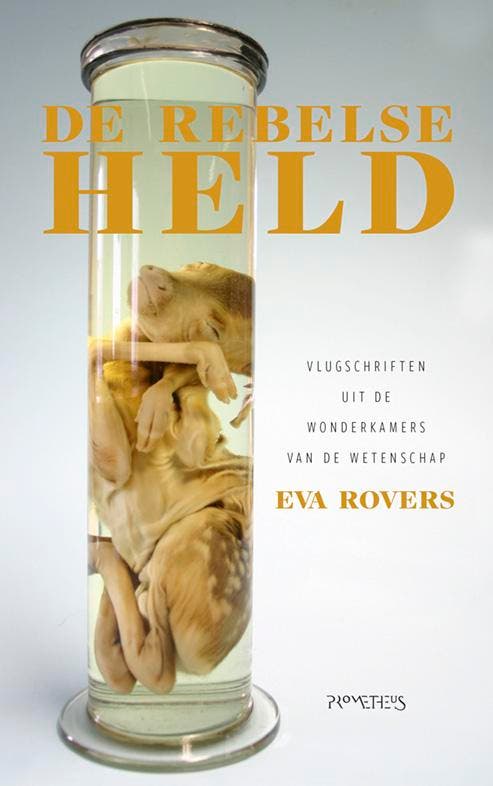 De rebelse held 9789044638820 Eva Rovers, Boeken, Literatuur, Gelezen, Verzenden
