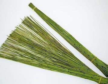 Vleireet Koffieriet Appelgroen Mikado 400 gram 80 cm, Nieuw
