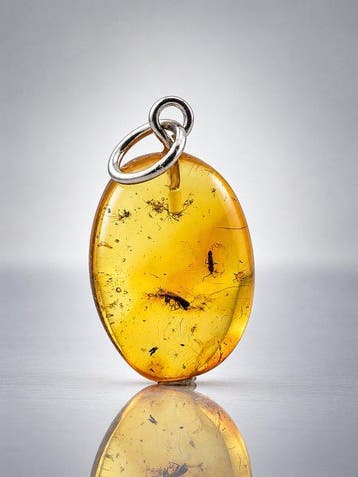 Uitzonderlijke transparante Baltische amber hanger – BEETLE,