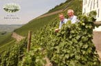 2008 Fritz Haag, Brauneberger Juffer Riesling - Moezel, Verzamelen, Nieuw