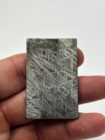 Aletai meteoriet +++GEEN RESERVE+++ - 36.87 g, Verzamelen