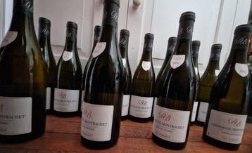 2016 Domaine Borgeot Vieilles Vignes -, Nieuw