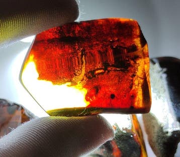 Mexicaanse amber Chiapas!! AAA- 73 g